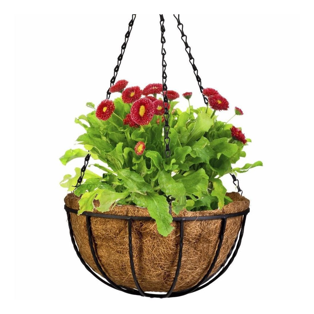 Suport pentru ghiveci cu lant, rotund, Otel, Fibra Cocos, 30x14cm